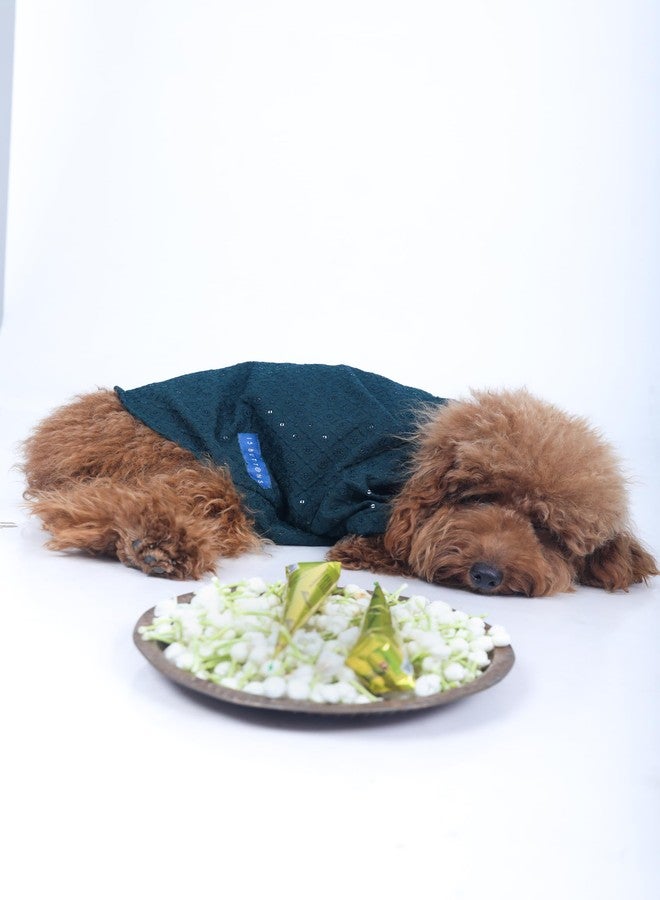 15 Buttons Dog Peacock Blue Sequence Work Sherwani | Pure Cotton Fabric | Wedding Dress for Pets | Comfortable Ethnic Summer Outfit Choice | for All Occasions | for Beagle, Cocker (L) - Image 4